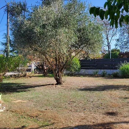 D' Hôte Avec Accès Piscine